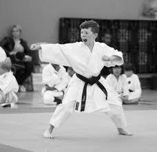 Image result for Fighting Arts Organisation of Great Britain