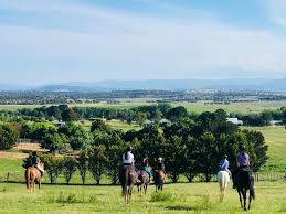 Image result for Bookham Riding School