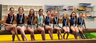 Image result for Harnham Gymnastics Club