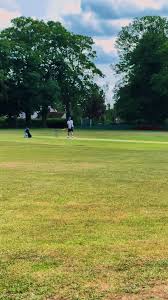 Image result for High Easter Cricket Club