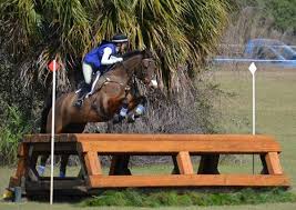 Image result for Fisher Equestrian