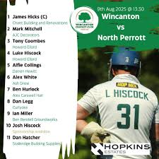 Image result for Wincanton Cricket Club