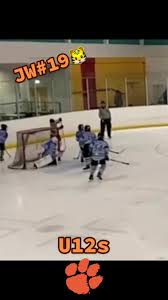 Image result for Telford Junior Ice Hockey Club
