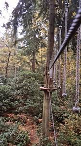 Image result for Go Ape! Thetford