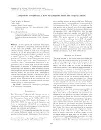 Attēlu rezultāti vaicājumam “Didymium bahiense stalked”