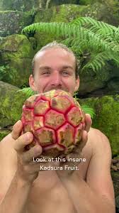 Attēlu rezultāti vaicājumam “Carex acuta fruit”