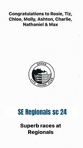 Image result for Dover Lifeguard Sc