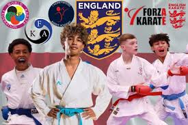 Image result for Everitt Karate Academy
