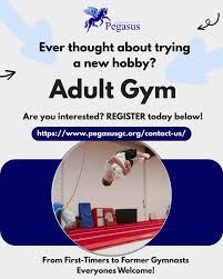 Image result for Pegasus Trampoline Club