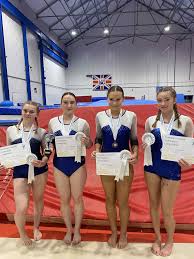 Image result for Brumby Gymnastics Club