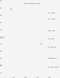 Attēlu rezultāti vaicājumam “Eurhynchium hians”