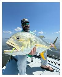 Image result for Caranx hippos