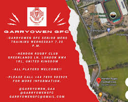 Image result for Garryowen Gfc