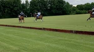 Image result for Taunton Vale Polo Club