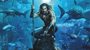 「水蘭」的圖片搜尋結果