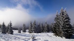 Image result for schnee