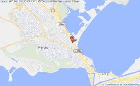 Image result for Ryuko Dojo