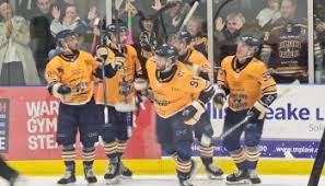 Image result for Havering Skater Hockey Club