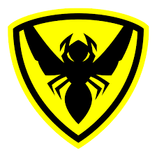 Image result for Wasps Football Club