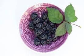 Image result for Rubus sectio
