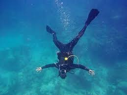 Image result for Looe Diving Club