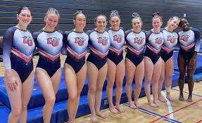 Image result for York University Gymnastics Club
