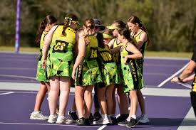 Image result for Normanton Falcons Netball Club