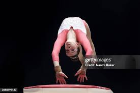 Image result for Carousel School Of Gymnastics