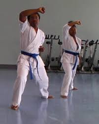 Image result for Aylesbury Vale Seido Karate