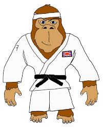 Image result for Felixstowe Judo club