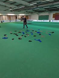 Image result for Century Indoor Bowls Club