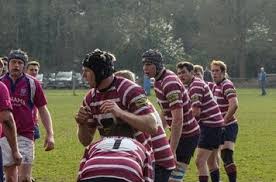 Image result for Diss Rugby Football Club