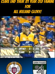 Image result for Clarehurlers