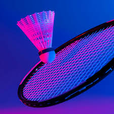 Image result for Elmbridge Eagles Junior Badminton Club