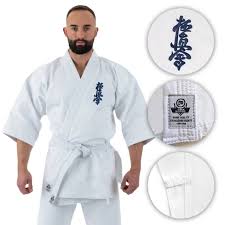 Image result for Kyokushin Karate