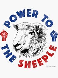 Image result for sheeple