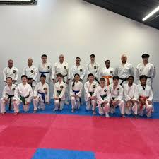 Image result for Ynys Mon Shukokai Karate Club, North Wales