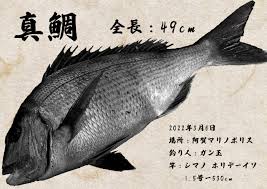 「魚拓」的圖片搜尋結果