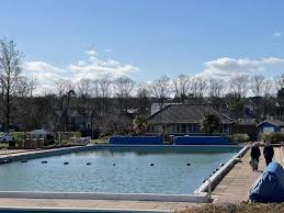 Image result for Hitchin Swimming Club