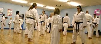 Image result for TRINITY KARATE ACADEMY