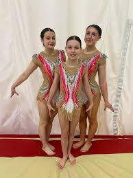 Image result for Harlequin Gymnastics Club