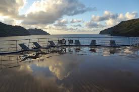 Attēlu rezultāti vaicājumam “Aranei exuvia”