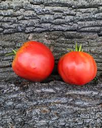 Afbeeldingsresultaat voor crnkovic yugoslavian tomato