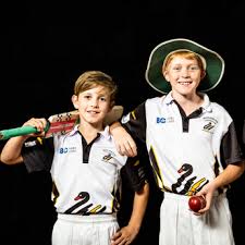 Image result for Swanage Cricket Club