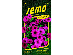 Image result for Petunie