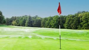 Image result for Downshire Golf Complex