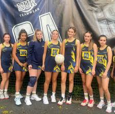 Image result for Twinkles Netball Club