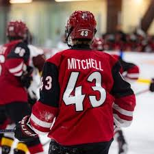 Image result for City Of Preston Hockey Club