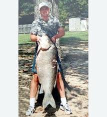 Image result for Ictiobus bubalus