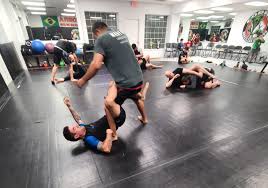 Image result for Mansfield Constrictors Grappling Academy